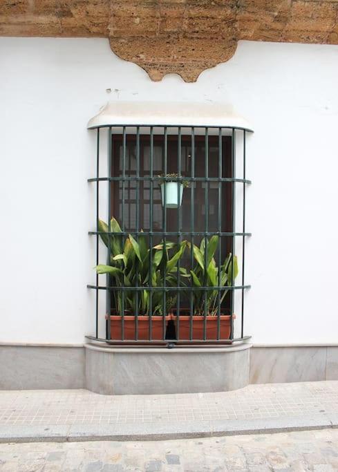 Fancy Apartment In A Historic House, Chiclana City Center By C. Dreams ชิกลานา เด ลา ฟรอนเตรา ภายนอก รูปภาพ